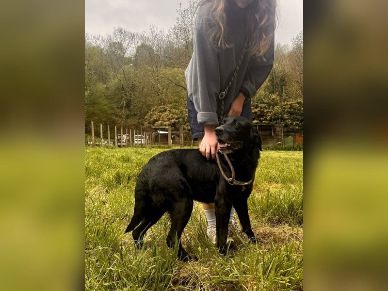 Titus - Hat jemand aus dem Fenster geschaut?