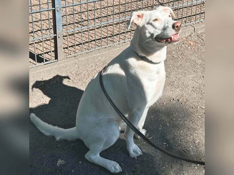 Nola - auf meiner Weihnachtswunschliste steht nur eines: Eine liebe Familie. Eine, die bleibt.