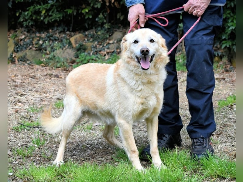 Dario - Warum eigentlich nicht ich?