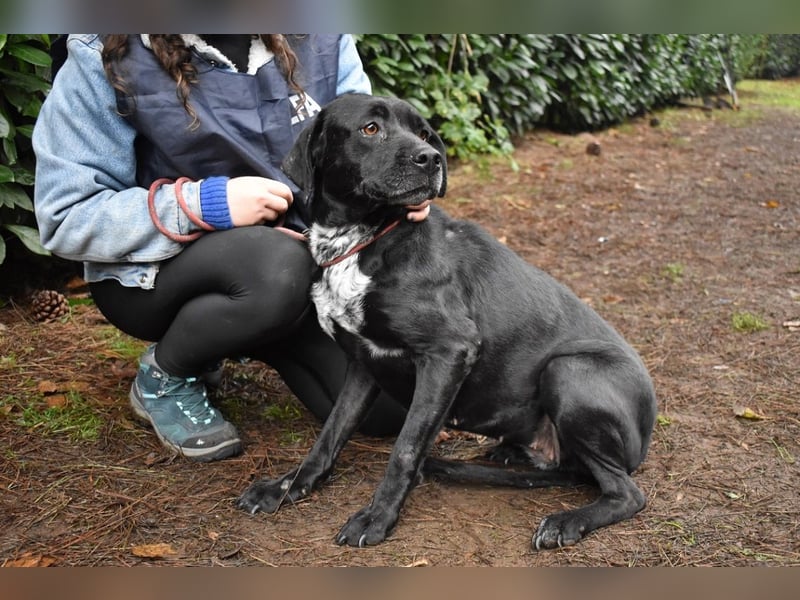 Giodith - Der Traum von einem eigenen Menschen soll wahr werden.