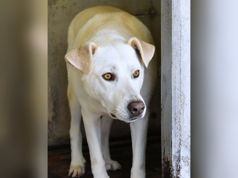Luken - Zwei Seelen. Zwei Geschichten. Ein Ziel.