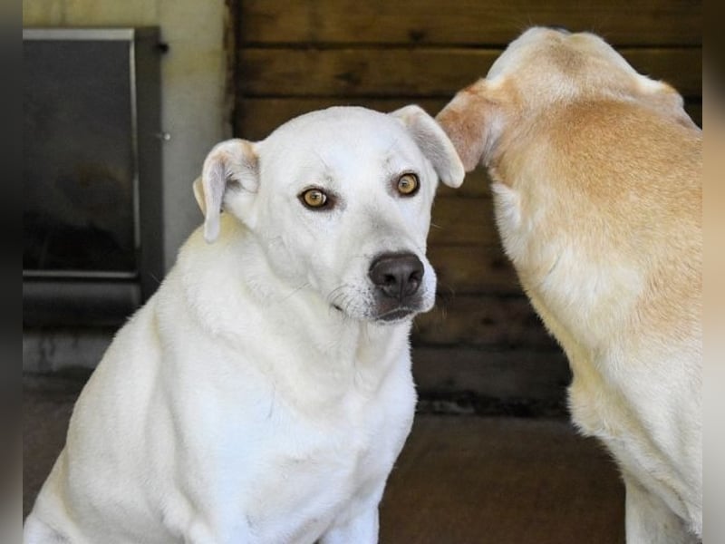 Luken - Zwei Seelen. Zwei Geschichten. Ein Ziel.