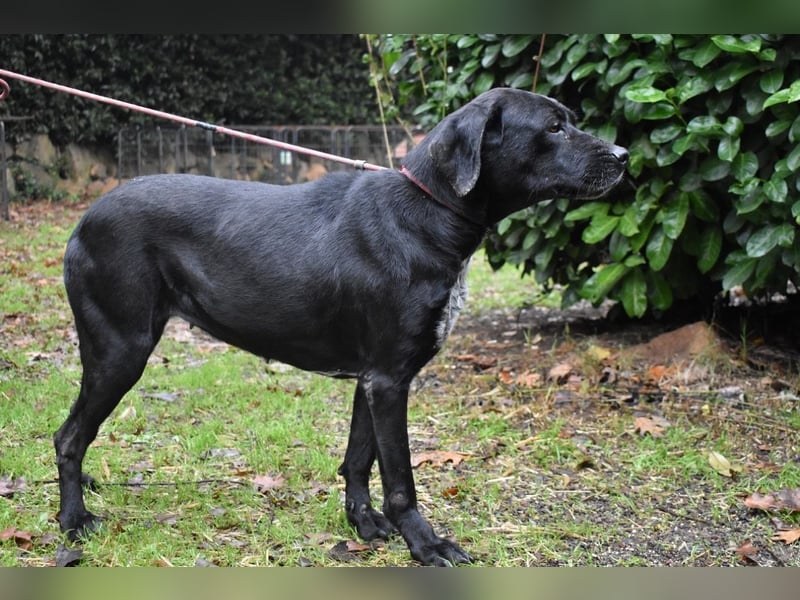 Giodith - Der Traum von einem eigenen Menschen soll wahr werden.