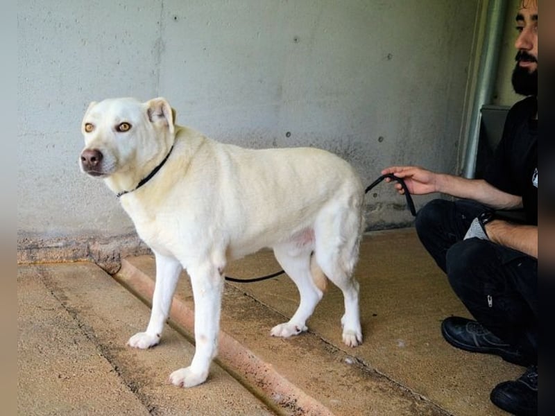 Luken - Zwei Seelen. Zwei Geschichten. Ein Ziel.