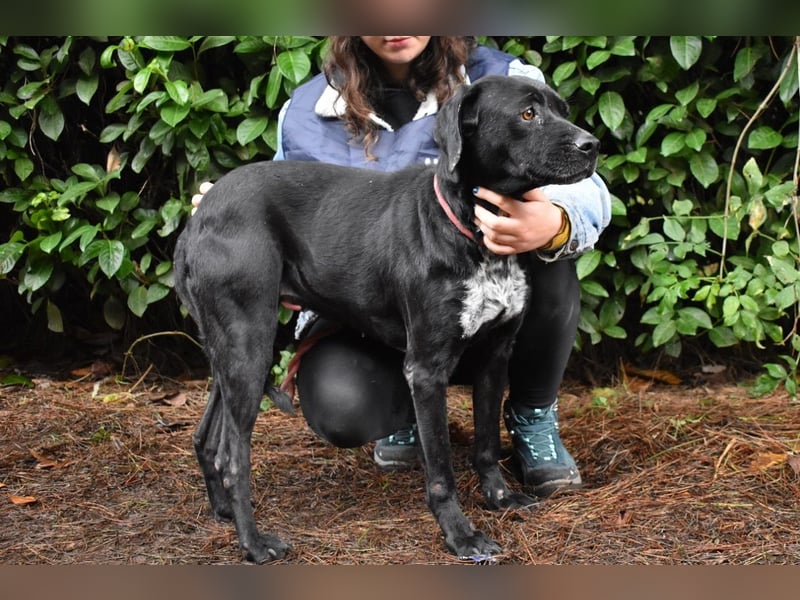 Giodith - Der Traum von einem eigenen Menschen soll wahr werden.