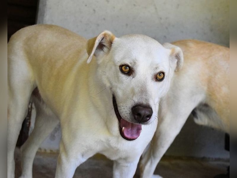 Luken - Zwei Seelen. Zwei Geschichten. Ein Ziel.