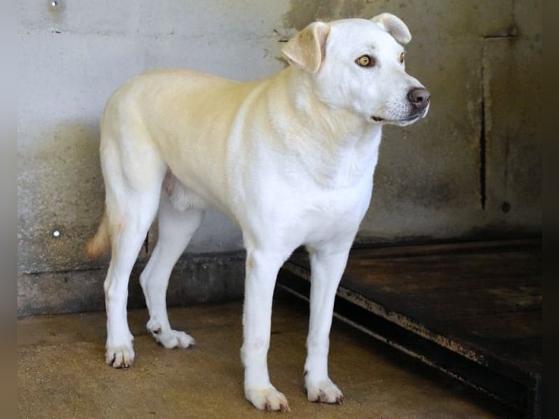 Luken - Zwei Seelen. Zwei Geschichten. Ein Ziel. Luken - Zwei Seelen. Zwei Geschichten. Ein Ziel.