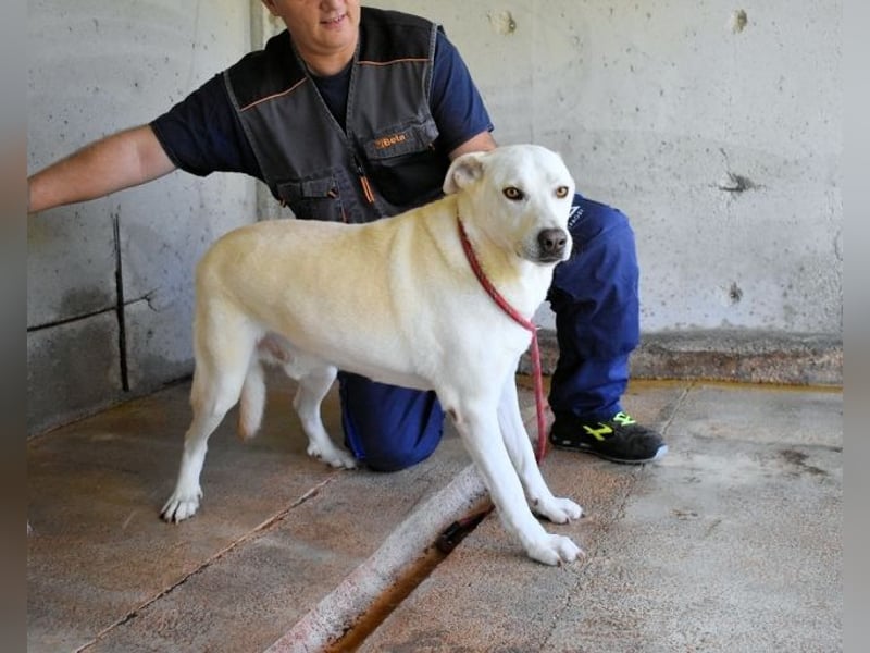 Luken - Zwei Seelen. Zwei Geschichten. Ein Ziel. Luken - Zwei Seelen. Zwei Geschichten. Ein Ziel.
