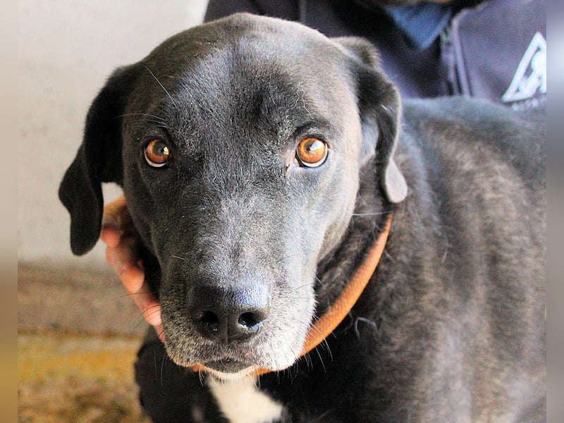 Norgen - Der überfällige Eintrag