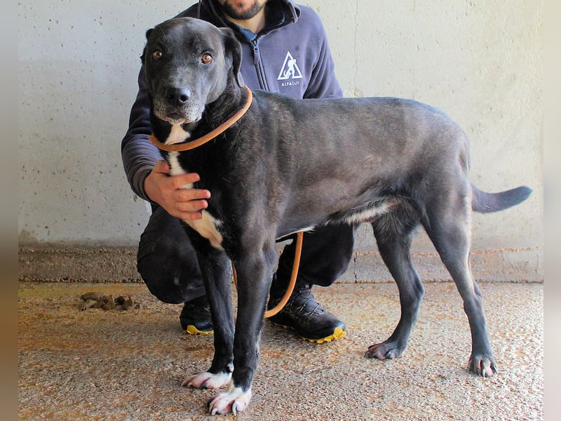 Norgen - Der überfällige Eintrag