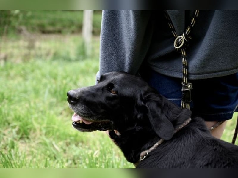 Titus - Hat jemand aus dem Fenster geschaut?