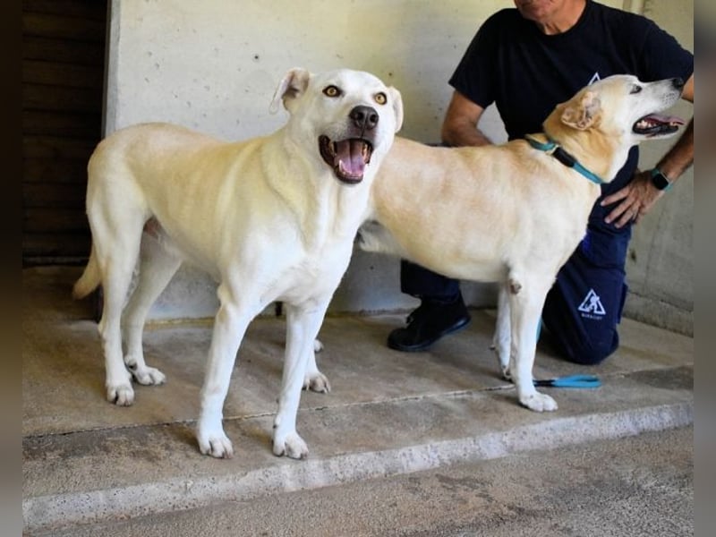 Luken - Zwei Seelen. Zwei Geschichten. Ein Ziel.