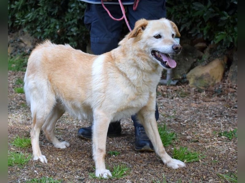 Dario - Warum eigentlich nicht ich?