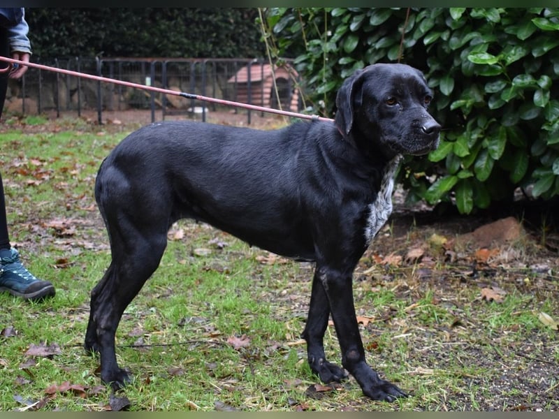 Giodith - Der Traum von einem eigenen Menschen soll wahr werden.