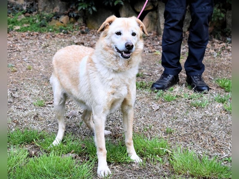 Dario - Warum eigentlich nicht ich?