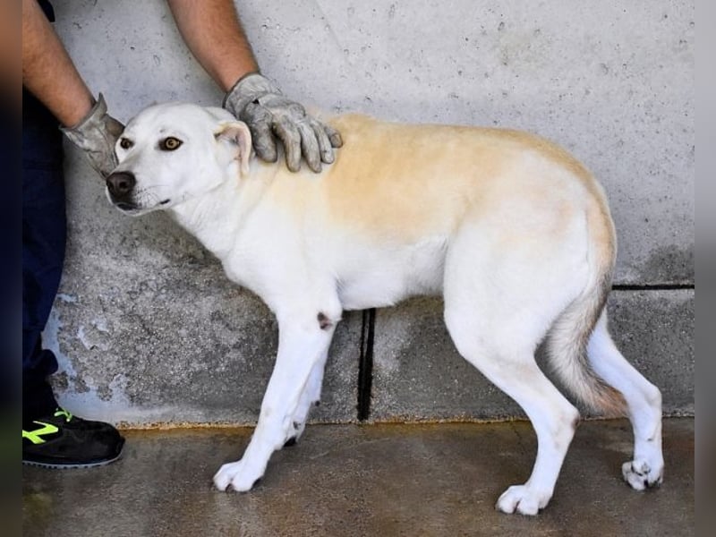 Luken - Zwei Seelen. Zwei Geschichten. Ein Ziel. Luken - Zwei Seelen. Zwei Geschichten. Ein Ziel.