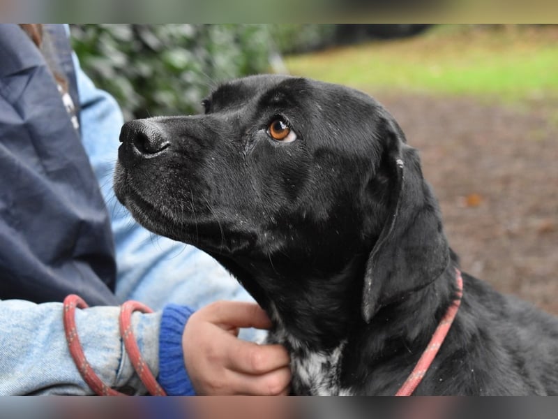 Giodith - Der Traum von einem eigenen Menschen soll wahr werden.