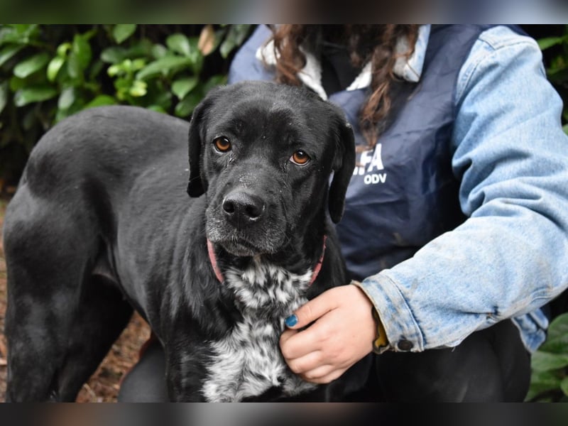 Giodith - Der Traum von einem eigenen Menschen soll wahr werden.