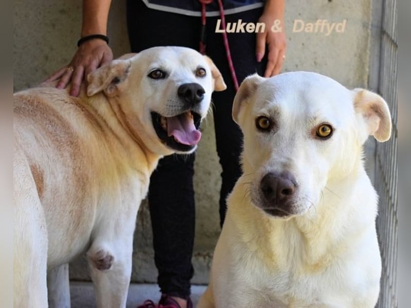 Luken - Zwei Seelen. Zwei Geschichten. Ein Ziel.