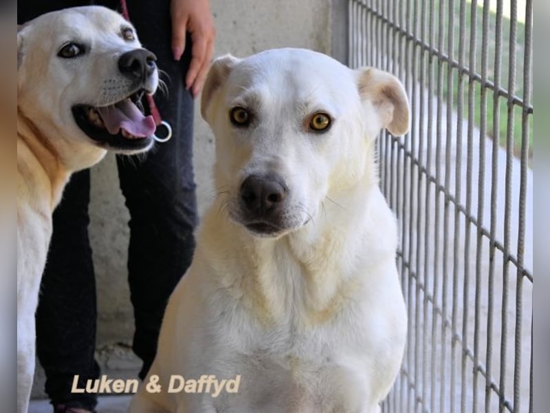 Luken - Zwei Seelen. Zwei Geschichten. Ein Ziel. Luken - Zwei Seelen. Zwei Geschichten. Ein Ziel.