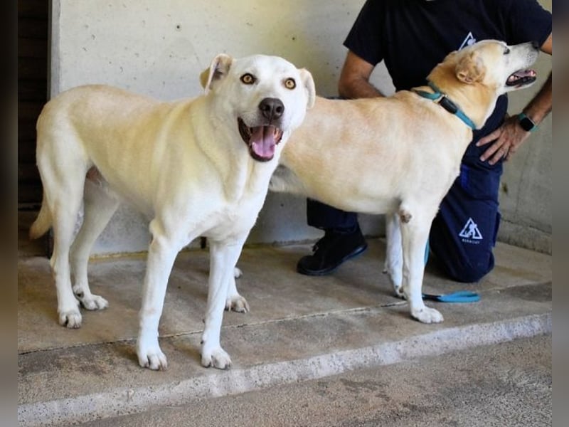 Luken - Zwei Seelen. Zwei Geschichten. Ein Ziel.