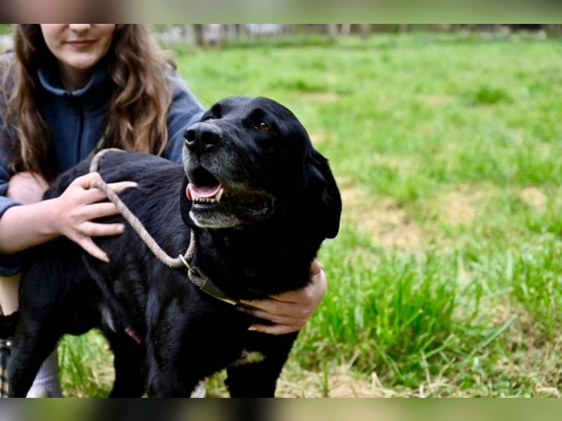 Titus - Hat jemand aus dem Fenster geschaut?