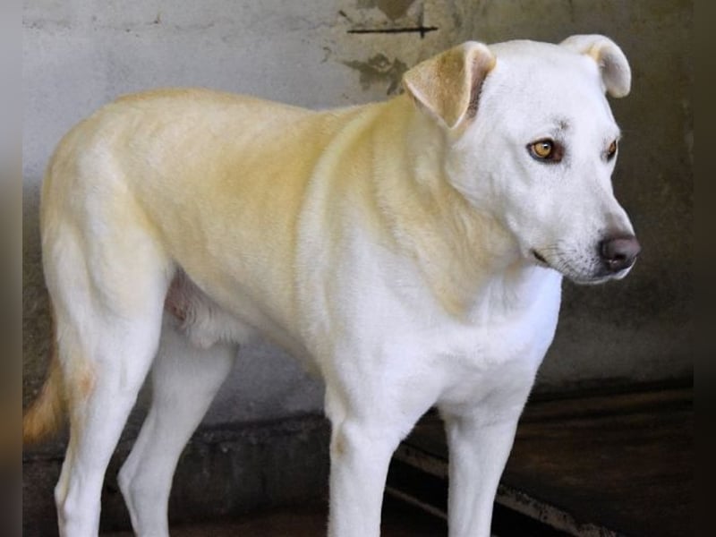 Luken - Zwei Seelen. Zwei Geschichten. Ein Ziel. Luken - Zwei Seelen. Zwei Geschichten. Ein Ziel.