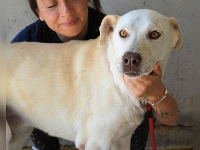 Luken - Zwei Seelen. Zwei Geschichten. Ein Ziel.