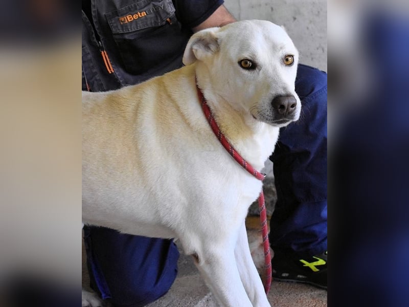 Luken - Zwei Seelen. Zwei Geschichten. Ein Ziel. Luken - Zwei Seelen. Zwei Geschichten. Ein Ziel.