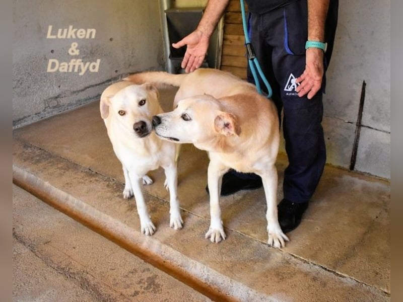 Luken - Zwei Seelen. Zwei Geschichten. Ein Ziel.