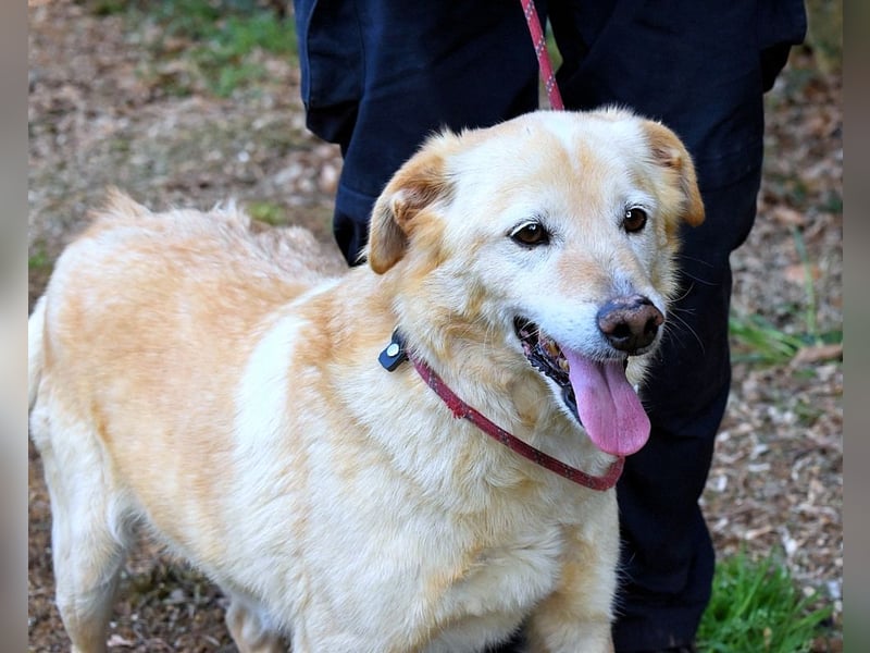 Dario - Warum eigentlich nicht ich?