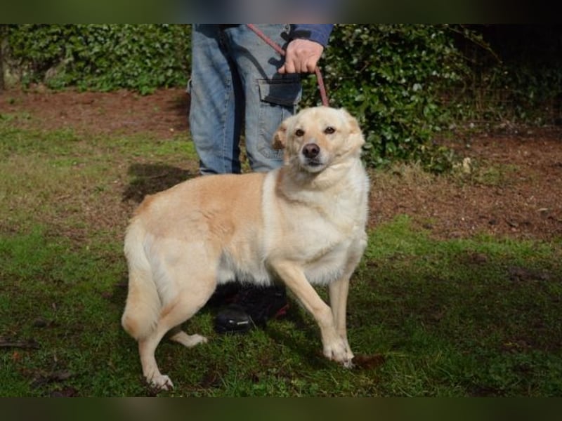 Dario - Warum eigentlich nicht ich?