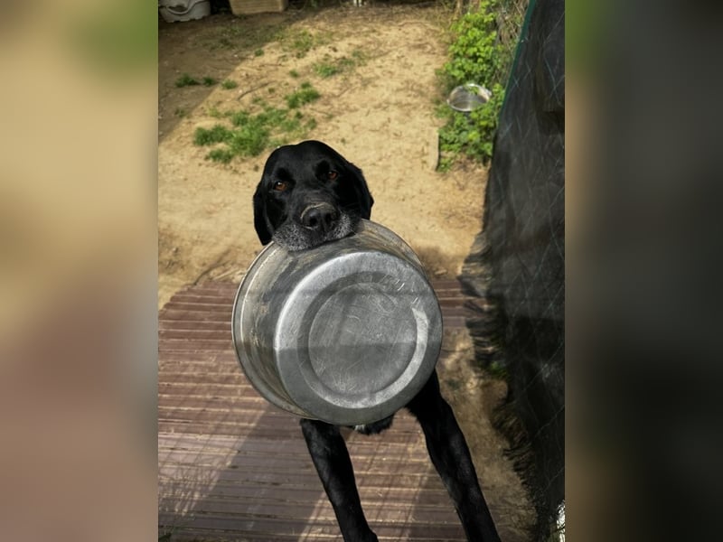 Titus - Hat jemand aus dem Fenster geschaut?