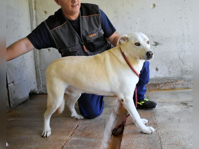 Luken - Zwei Seelen. Zwei Geschichten. Ein Ziel. Luken - Zwei Seelen. Zwei Geschichten. Ein Ziel.