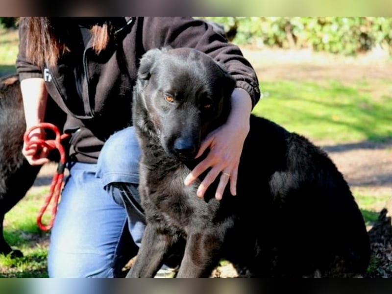 Jonatan - ist liebenswürdig zu Menschen