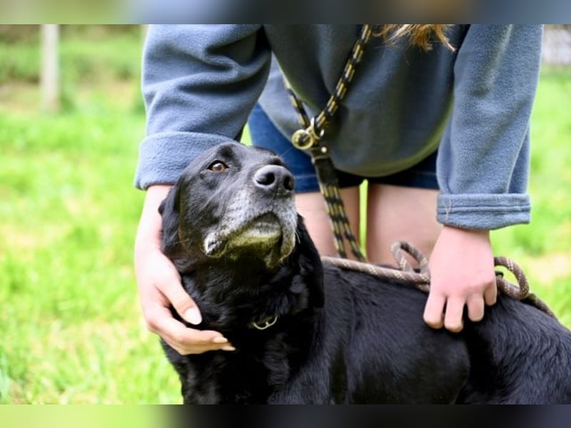 Titus - Hat jemand aus dem Fenster geschaut?