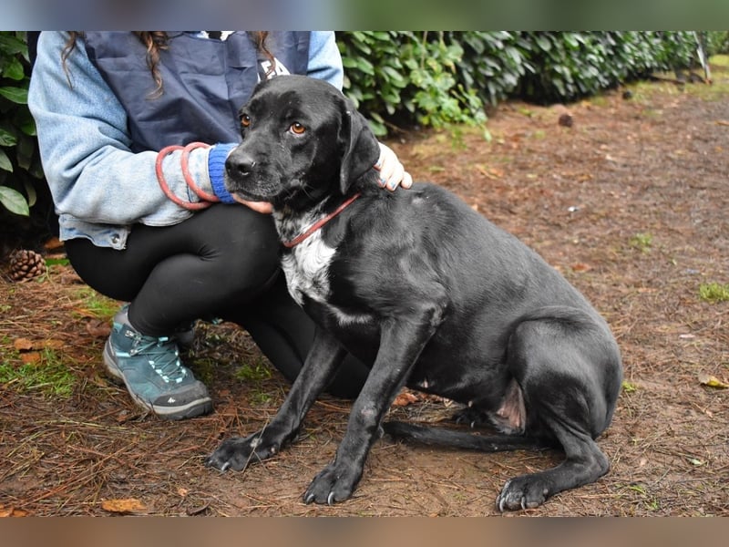 Giodith - Der Traum von einem eigenen Menschen soll wahr werden.