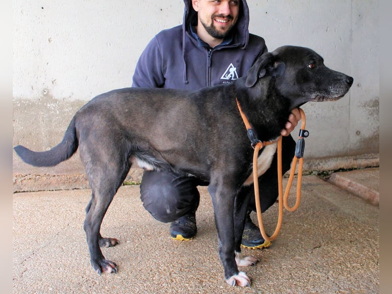 Norgen - Der überfällige Eintrag