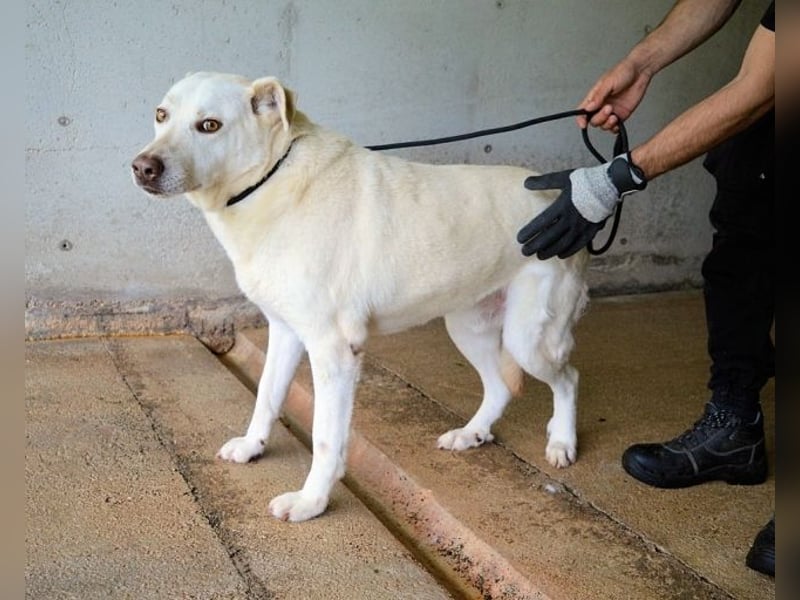 Luken - Zwei Seelen. Zwei Geschichten. Ein Ziel.