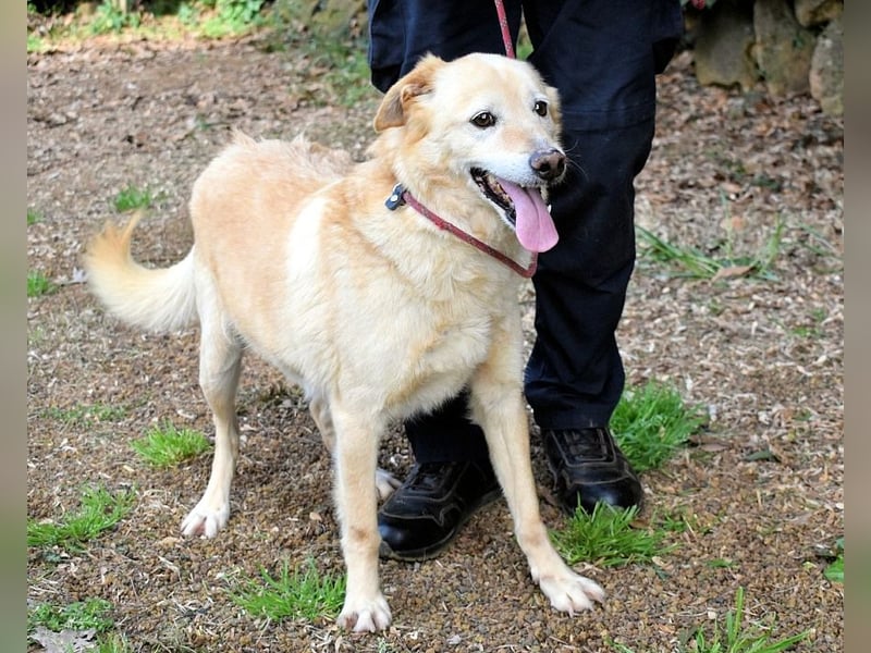 Dario - Warum eigentlich nicht ich?