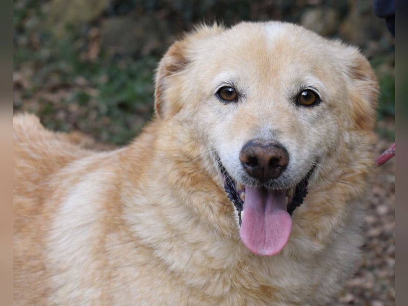 Dario - Warum eigentlich nicht ich?