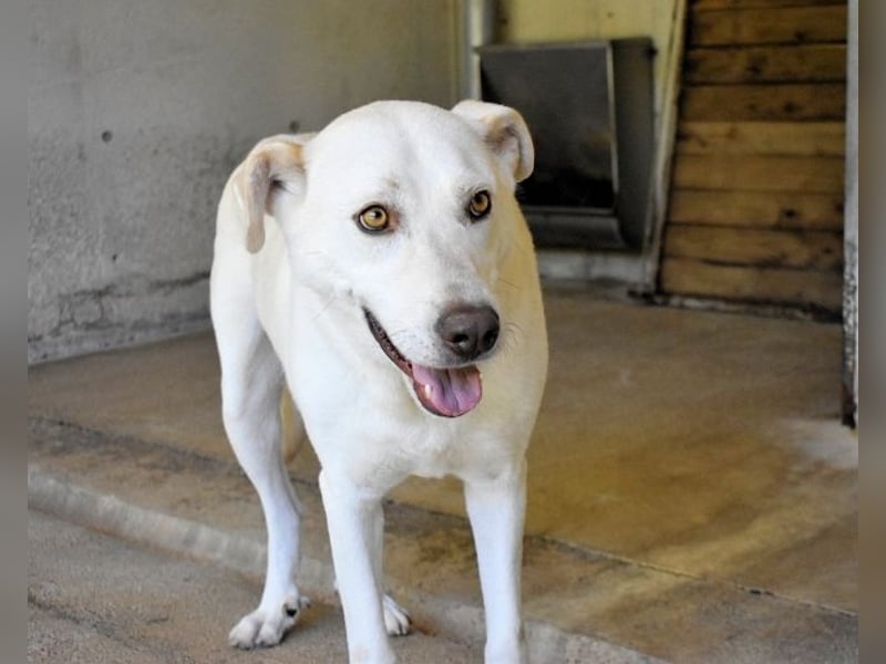 Luken - Zwei Seelen. Zwei Geschichten. Ein Ziel. Luken - Zwei Seelen. Zwei Geschichten. Ein Ziel.