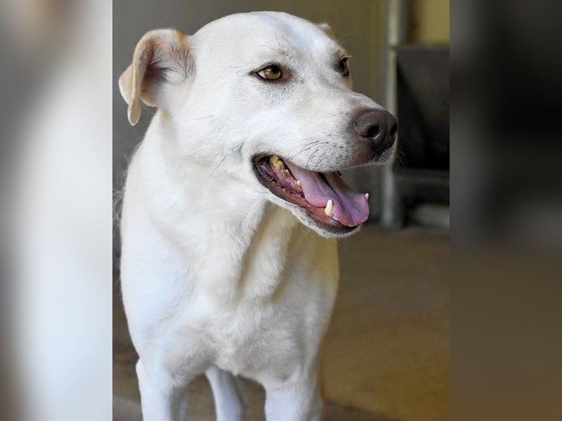 Luken - Zwei Seelen. Zwei Geschichten. Ein Ziel.