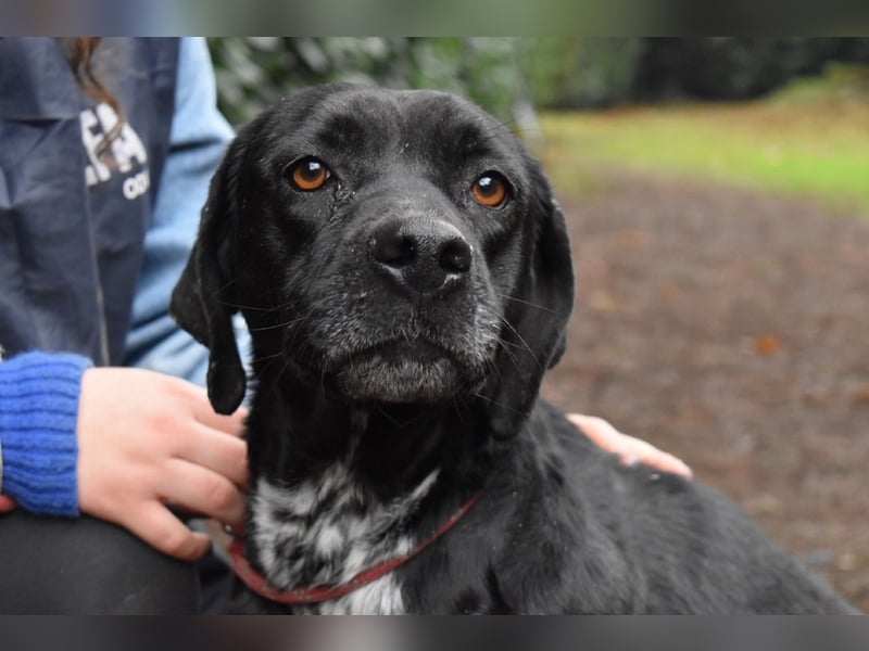 Giodith - Der Traum von einem eigenen Menschen soll wahr werden.