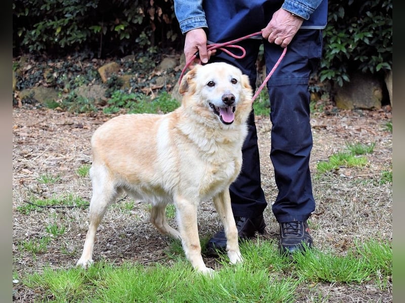 Dario - Warum eigentlich nicht ich?