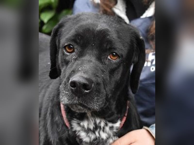 Giodith - Der Traum von einem eigenen Menschen soll wahr werden.