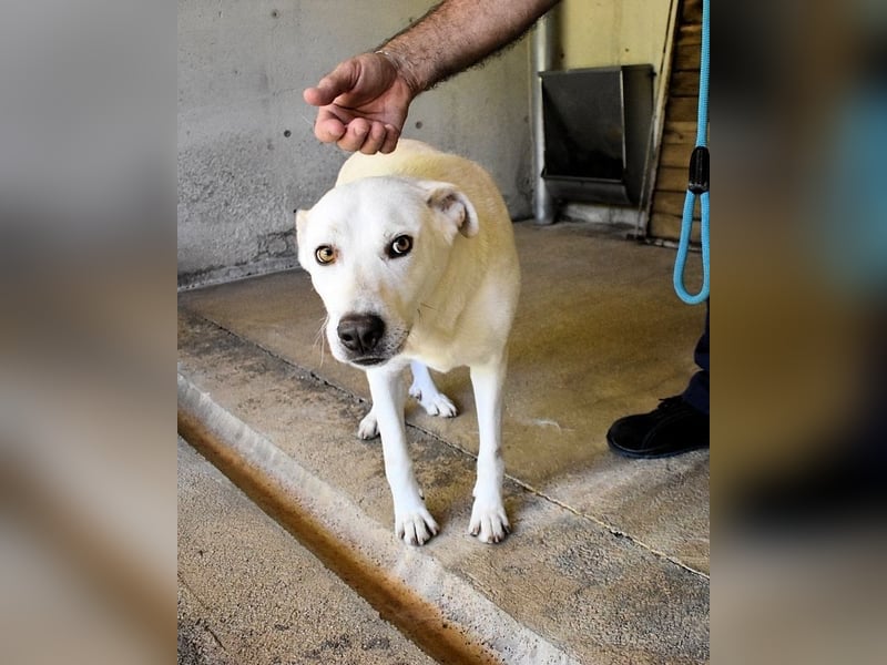 Luken - Zwei Seelen. Zwei Geschichten. Ein Ziel. Luken - Zwei Seelen. Zwei Geschichten. Ein Ziel.