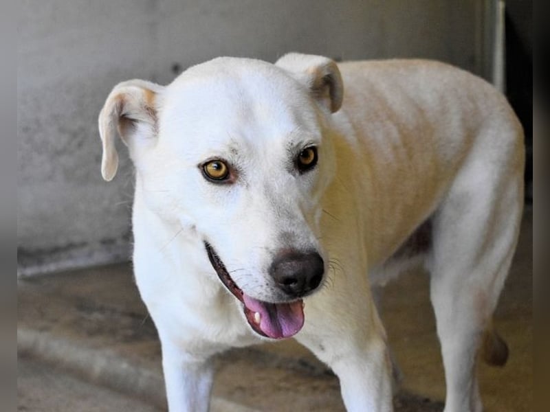 Luken - Zwei Seelen. Zwei Geschichten. Ein Ziel. Luken - Zwei Seelen. Zwei Geschichten. Ein Ziel.