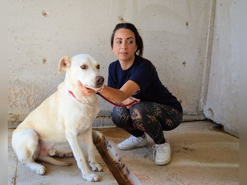 Luken - Zwei Seelen. Zwei Geschichten. Ein Ziel.