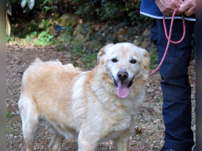 Dario - Warum eigentlich nicht ich?